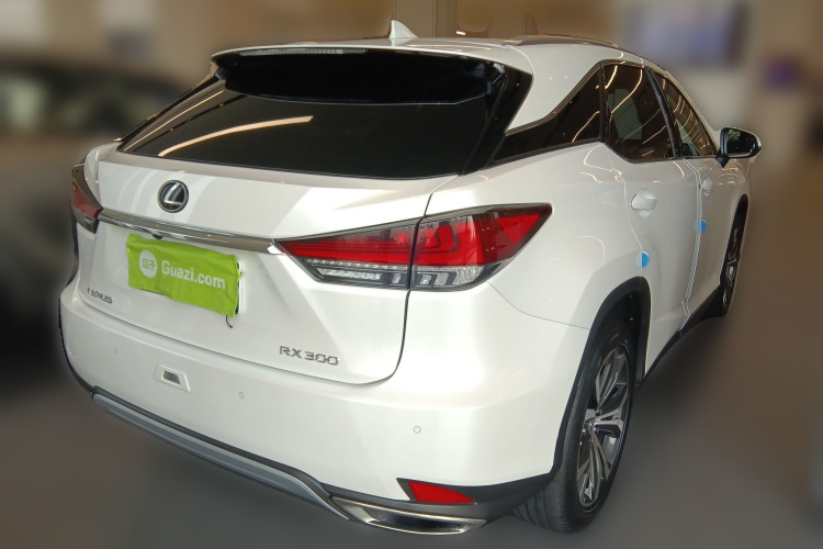 雷克萨斯RX 2020款 300 四驱典雅版 国VI车身外观7