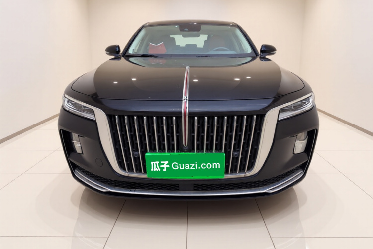 红旗H9 2020款 2.0T 智联旗畅版车身外观2