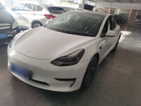 特斯拉 Model 3 2021款 改款 标准续航后驱升级版 3D1
