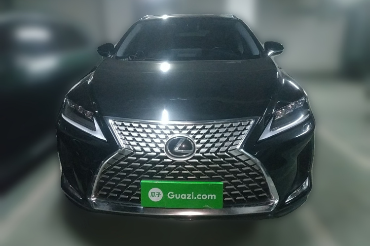 雷克萨斯RX 2021款 300 四驱特别版车身外观2