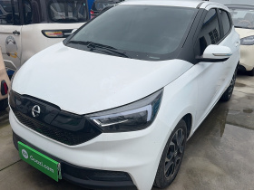 江铃集团新能源 易至EV3 2022款 小雷达悦跑型