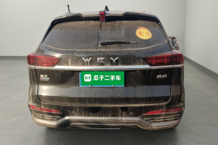 魏牌 拿铁DHT 2022款 1.5T DHT超大杯车身外观6