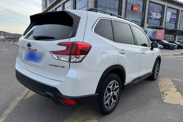 斯巴鲁 森林人 2019款 2.0i 豪华版EyeSight车身外观6004