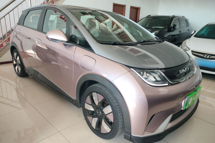 比亚迪 海豚 2021款 401km 骑士版车身外观3