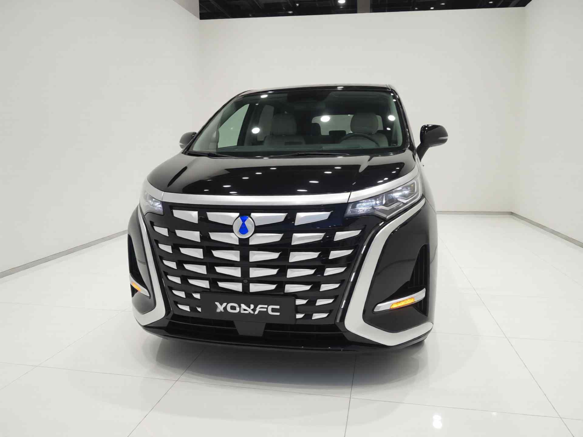 腾势D9 2024款 DM-i 980 四驱旗舰型(1)