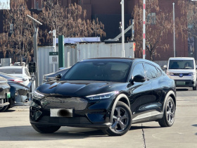 福特电马 2021款 跃世后驱版(标准续航)