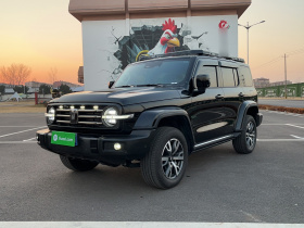 坦克300 2024款 2.0T 穿越者