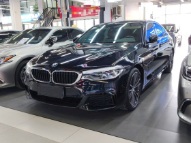 宝马5系 2020款 530Li 领先型 M运动套装
