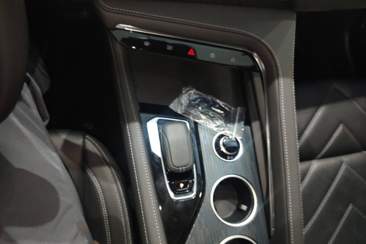 极氪001 2023款 WE版 100kWh局部细节18