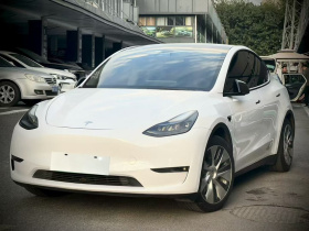 特斯拉 Model Y 2021款 标准续航后驱版