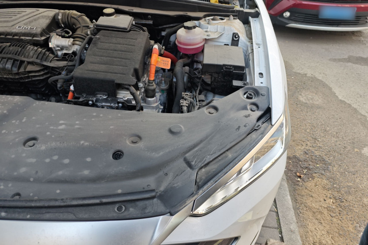 比亚迪 秦PLUS 2024款 荣耀版 DM-i 55KM领先型局部细节9007