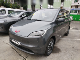 五菱汽车 五菱宏光新能源 2024款 纯电版 300KM 标准型