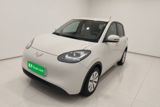 五菱汽车 五菱缤果 2023款 203km 轻享款