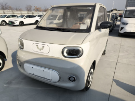 五菱汽车 宏光MINIEV 2024款 第三代 215km 青春版