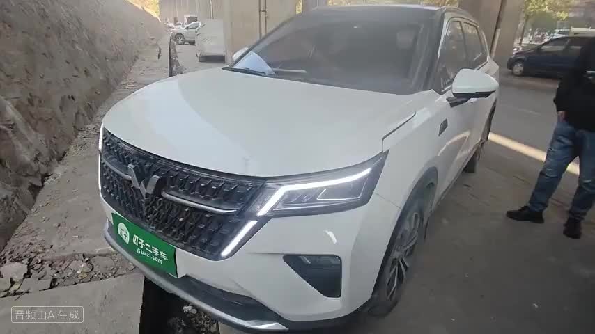 五菱汽车 五菱星辰 2022款 2.0L DHT电速款检测视频1