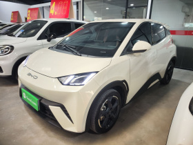 比亚迪 海鸥 2023款 飞翔版