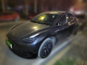特斯拉 Model Y 2024款 后轮驱动版