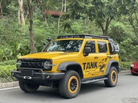 坦克300 2022款 2.0T 边境限定版