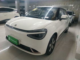 东风纳米 纳米01 2026款 挚爱款 430 Pro