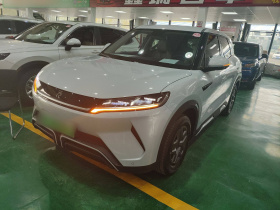 比亚迪 元UP 2024款  401KM 活力版