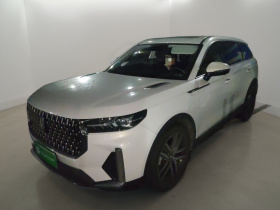 奔腾T99 2020款 20TD 自动尊享型