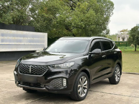 魏牌 VV6 2020款 2.0T 两驱智享+