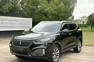 魏牌 VV6 2020款 2.0T 两驱智享+