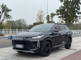 星途凌云 2021款 290T 两驱星耀版