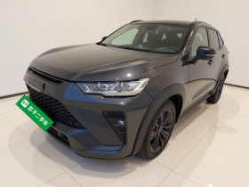 哈弗H6S 2022款 2.0T 两驱智跑版