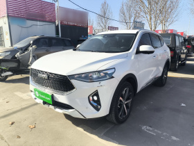哈弗F7 2019款 1.5T 两驱i潮 国V