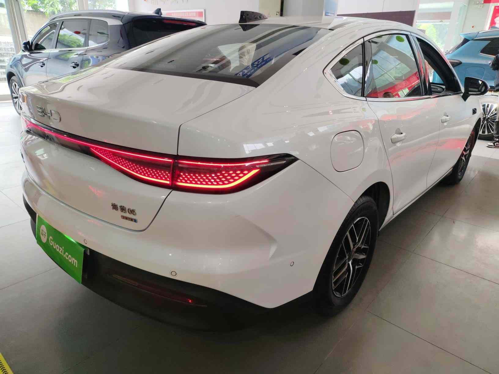 比亚迪 海豹05 DM-i 2025款 DM-i 智驾版 120KM旗舰型(4)