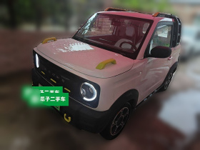 吉利银河 2025款 210km 熊猫骑士