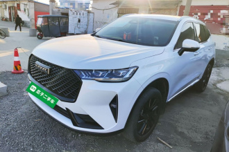 哈弗H6 2021款 第三代 2.0T 自动两驱Max