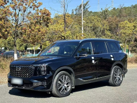 广汽传祺 传祺GS8 2022款 领航系列 2.0TGDI 两驱尊贵版（七座）