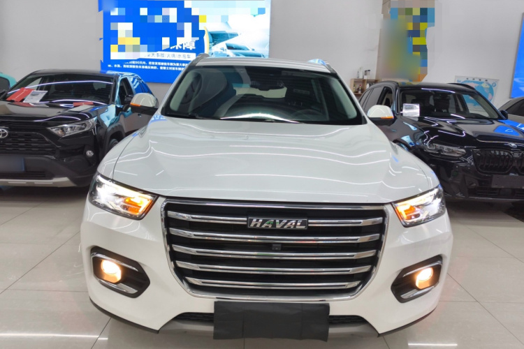 哈弗H6 2020款 2.0GDIT 自动铂金冠军版车身外观2
