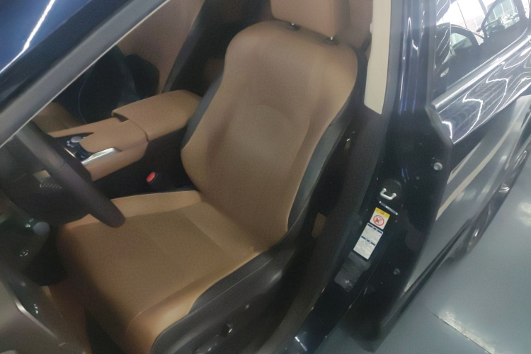 雷克萨斯RX 2016款 300 四驱典雅版 国V局部细节19