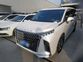 上汽大通MAXUS 大通G90 2022款 2.0T 星辰七座版