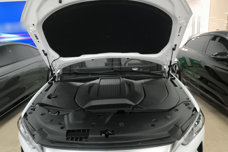 比亚迪 秦PLUS 2023款 冠军版 EV 510KM超越型机舱底盘24