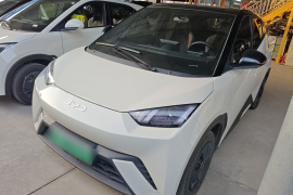 比亚迪 海鸥 2025款 305km 活力版