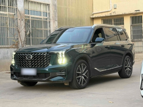 广汽传祺 传祺GS8 2022款 领航系列 2.0TGDI 两驱尊贵版（六座）