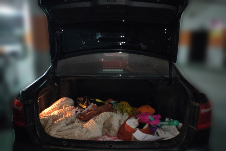 大众 朗逸 2015款 1.6L 自动风尚版中控内饰23