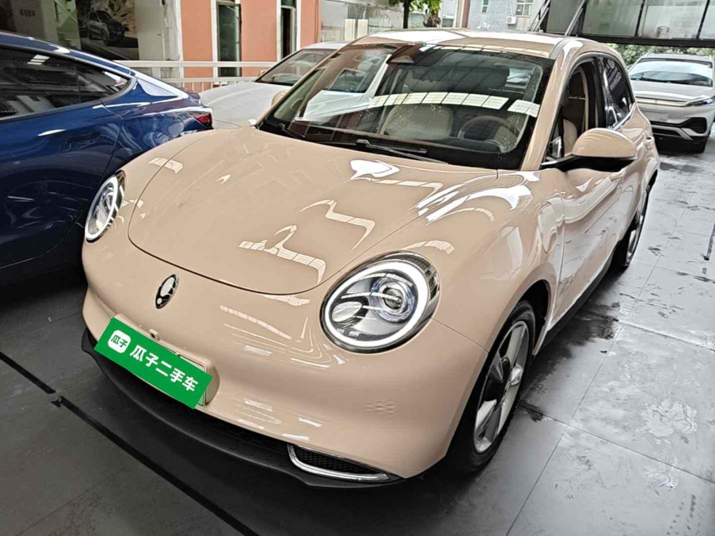 欧拉好猫 2023款 401km标准续航 豪华型 磷酸铁锂(2)
