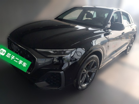 奥迪Q8 2024款 55 TFSI 豪华动感型