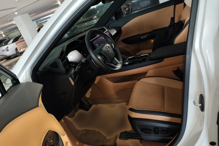 雷克萨斯RZ 2023款 450e 四驱纵享版中控内饰19