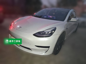 特斯拉 Model 3 2020款 改款 标准续航后驱升级版
