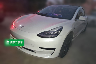 特斯拉 Model 3 2020款 改款 标准续航后驱升级版