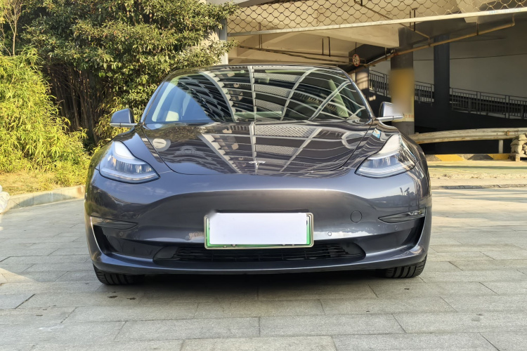 特斯拉 Model 3(进口) 2019款 长续航全轮驱动版车身外观6001