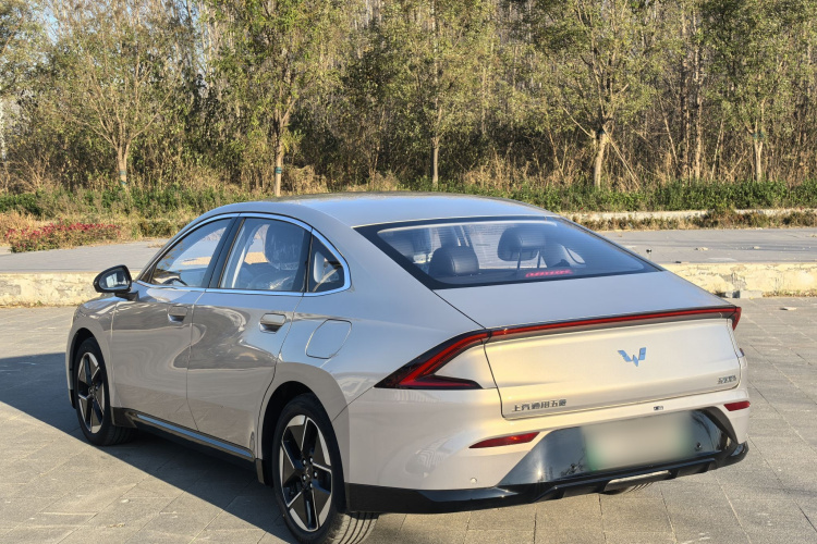 五菱汽车 五菱星光 2024款 共创版 510 进阶型车身外观6003