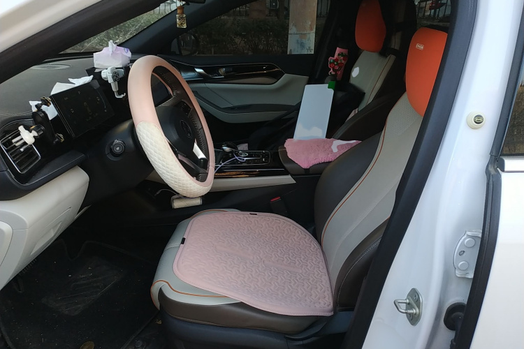 比亚迪 秦PLUS 2023款 冠军版 DM-i 55KM超越型局部细节19