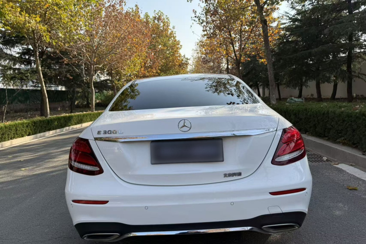 奔驰E级 2019款 改款 E 300 L 运动时尚型车身外观6008